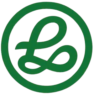 ECOSTEP SHOES