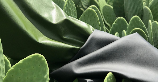 Water-Based Paints